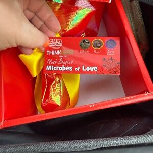 Giant Microbes Plush Bouquet